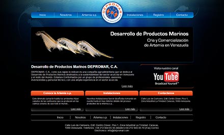 web design london,web,design,london,king cross,website,site,creative,agency,london web design,application development,elegant programmers